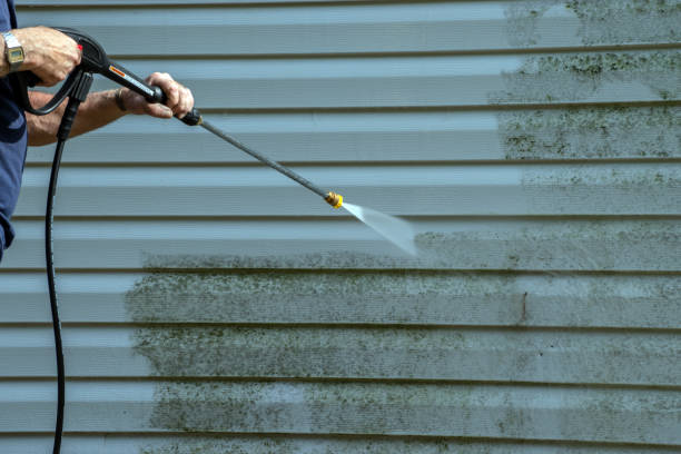Best Gutter Cleaning  in Mccall, ID
